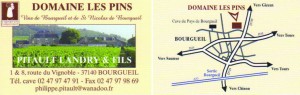 Domaine les Pins INTERNET